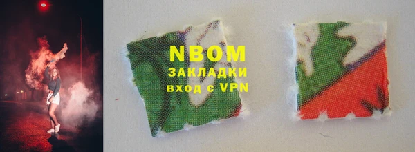 шишки Арсеньев