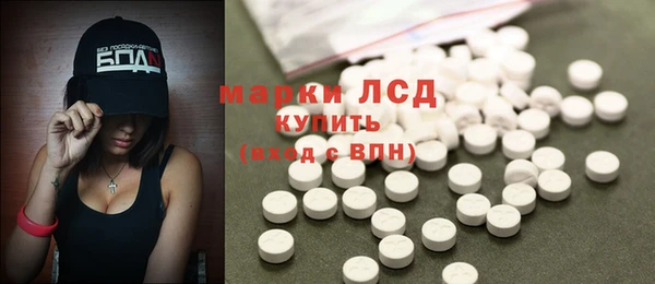 шишки Арсеньев
