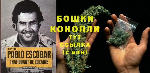 крисы Аркадак