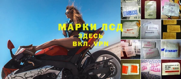 PSILOCYBIN Балабаново