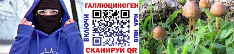 Галлюциногенные грибы мицелий  где купить   Острогожск 